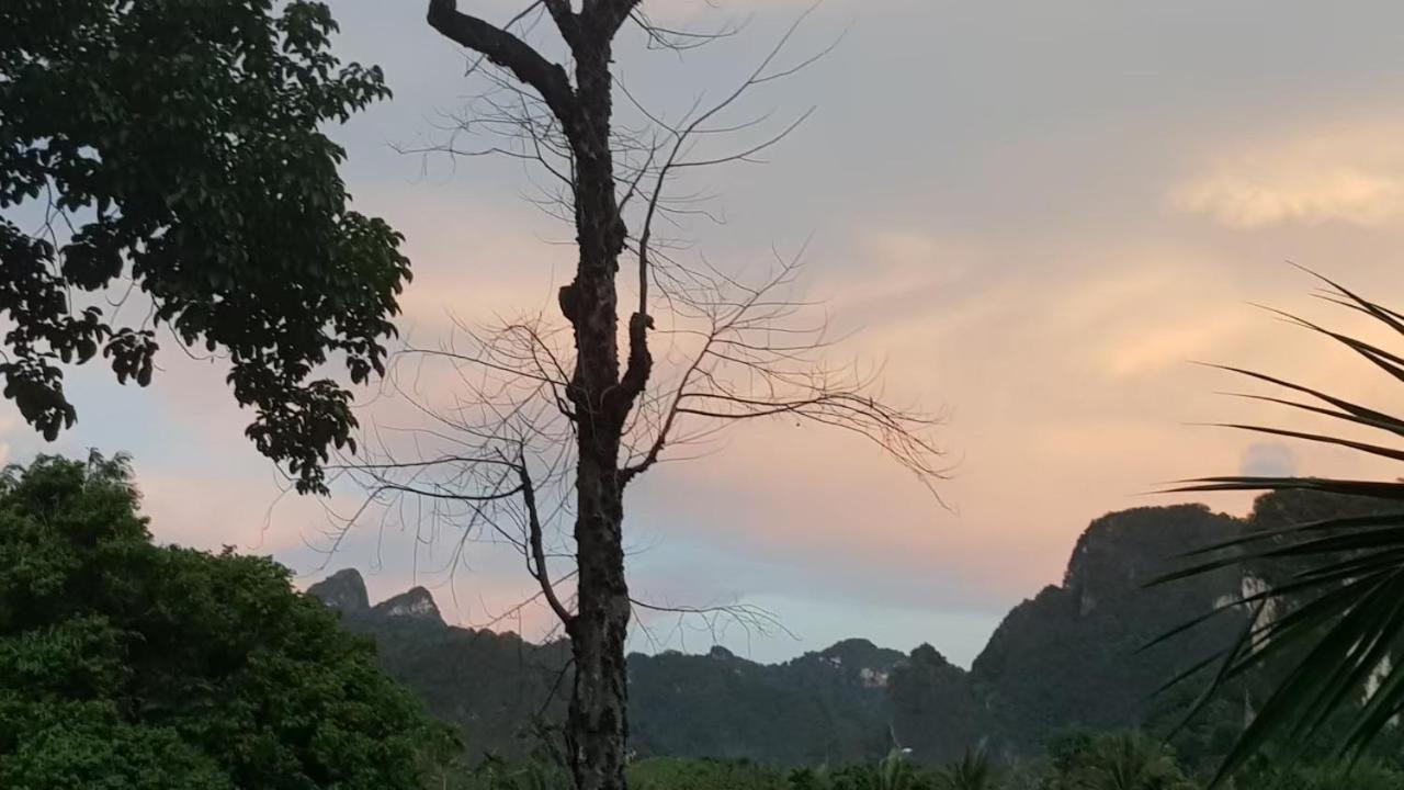 Phu Siab Mhok@Khaosok 호텔 Khao Sok National Park 외부 사진